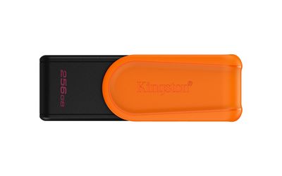 Memorias USB Kingston Technology DTXS/256GB