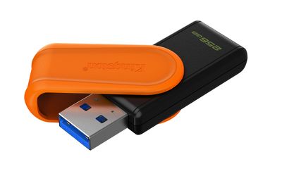 Memorias USB Kingston Technology DTXS/256GB