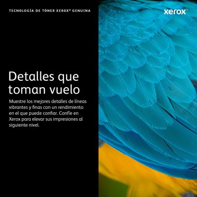Tambor XEROX VersaLink C500