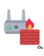 Routers & Firewalls